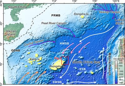 The role of platform margin collapses and slope landslides in the initiation and evolution of submarine canyons